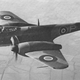 Illustration for article titled Wingspan: Did you know?